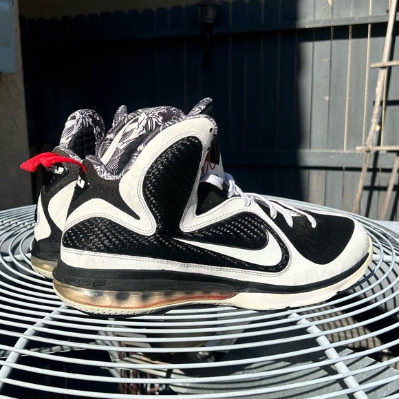 Nike LeBron 9 Freegums